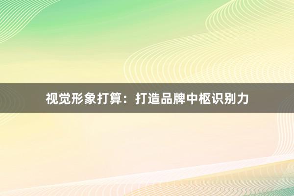 视觉形象打算：打造品牌中枢识别力