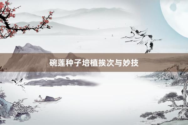 碗莲种子培植挨次与妙技