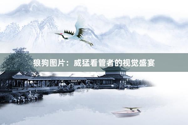 狼狗图片：威猛看管者的视觉盛宴