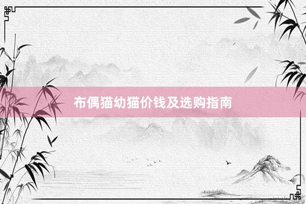 布偶猫幼猫价钱及选购指南